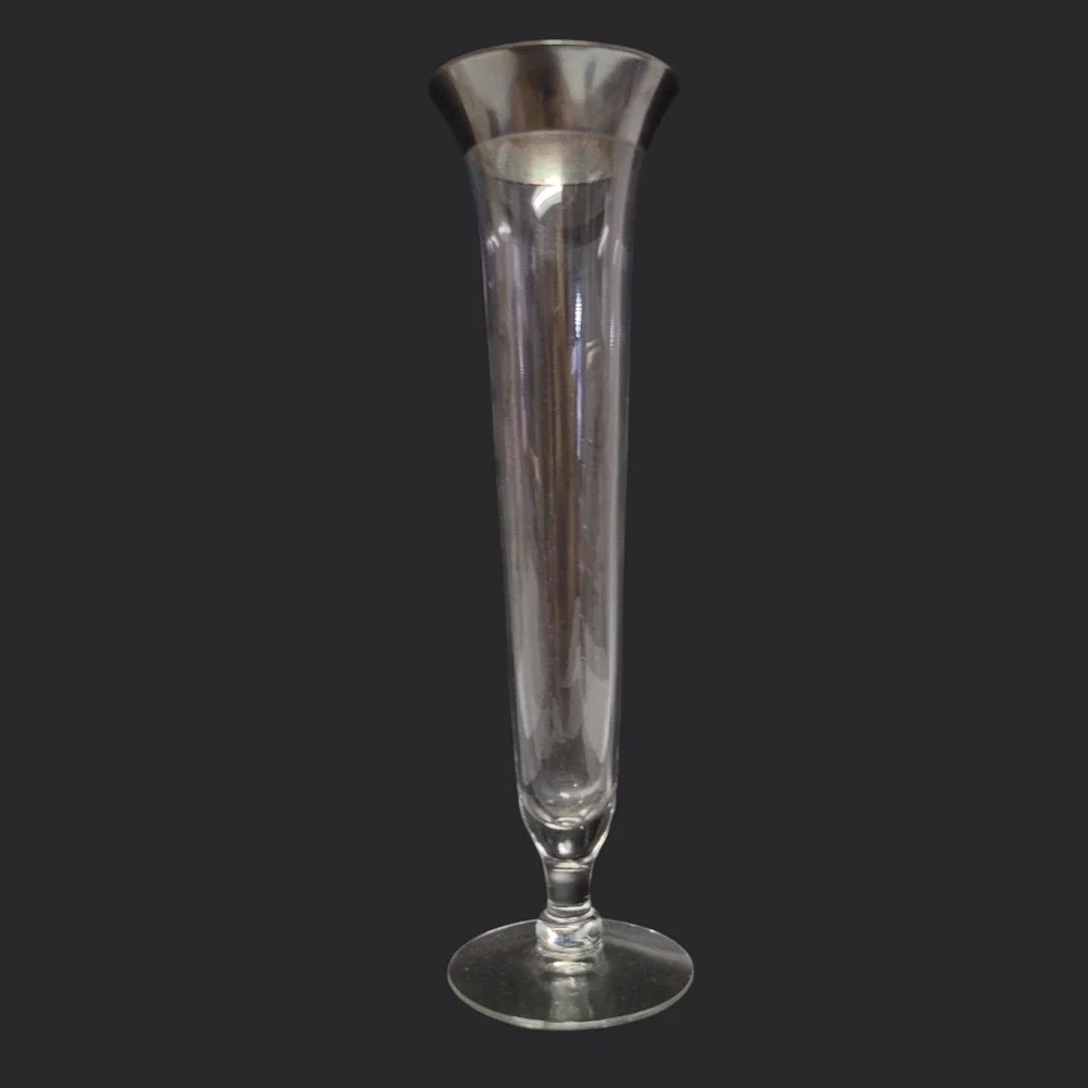 Vintage 10 Inch Clear Glass Bud Vase with Silver Rim Skinny Trumpet Decor